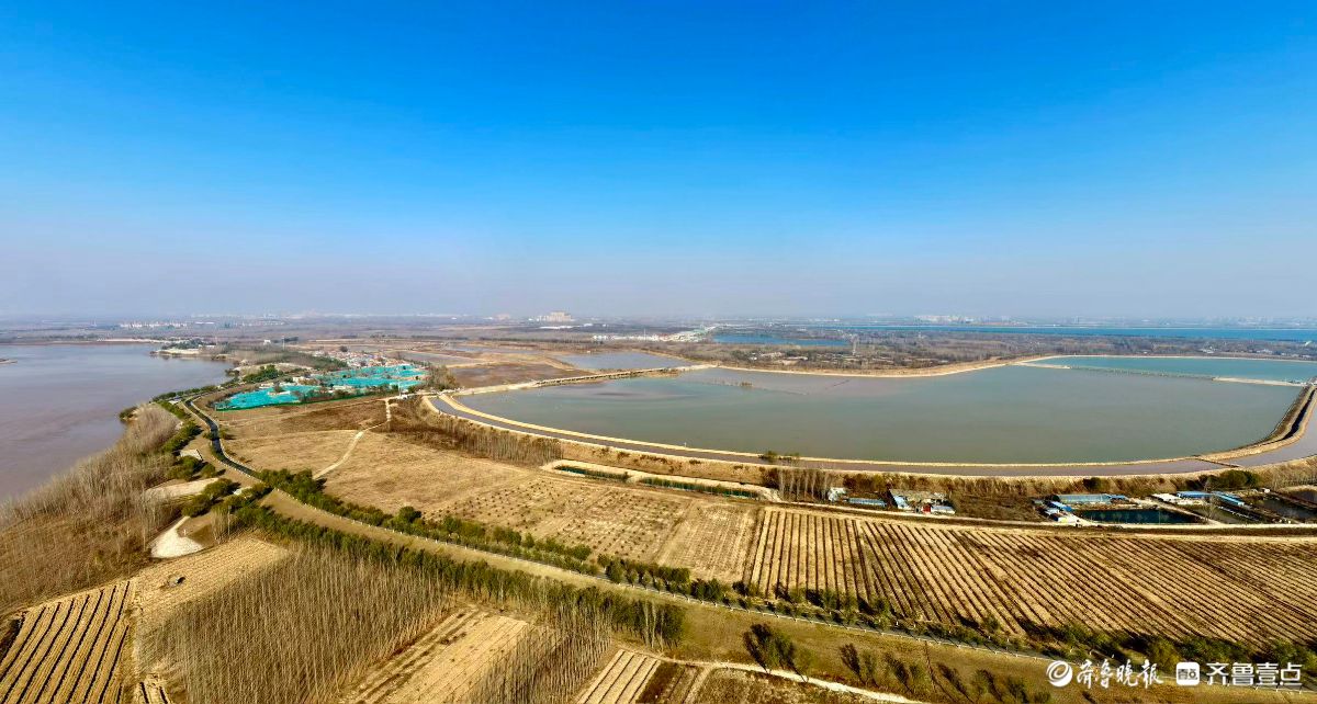 济南“天鹅湖”——黄河北岸沉沙池