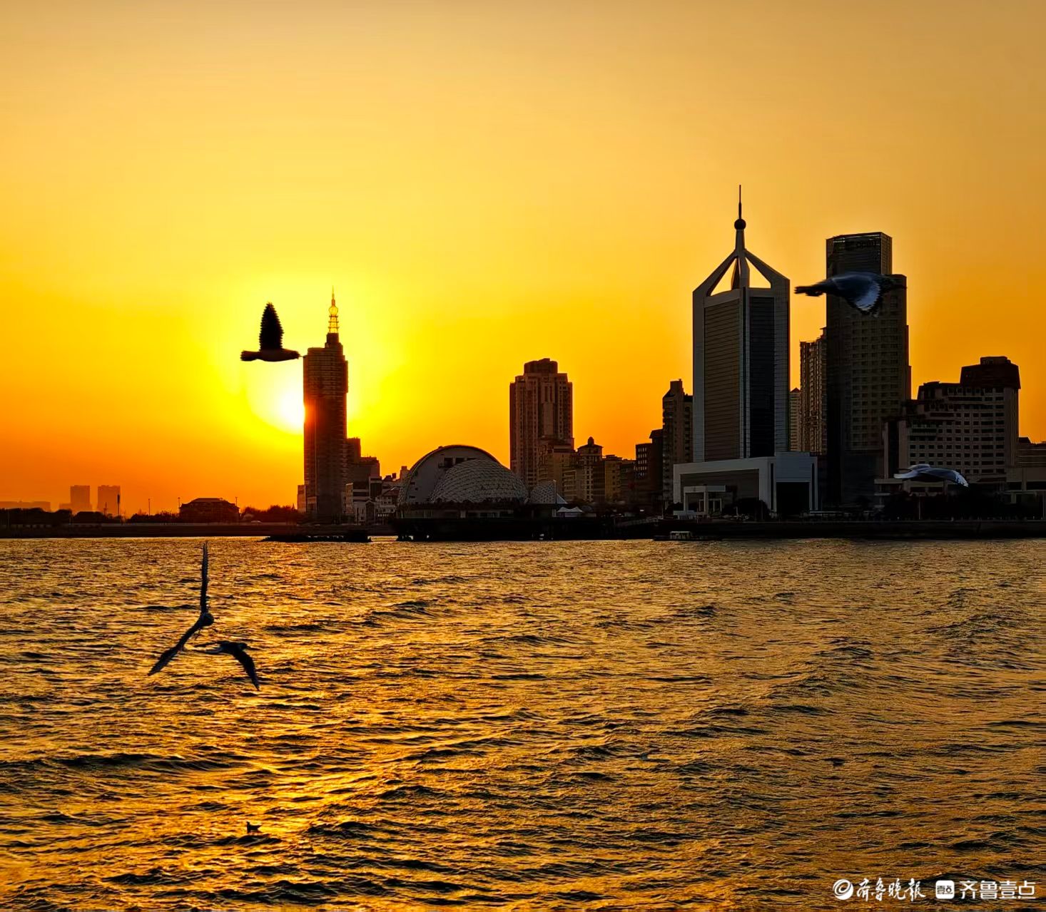 青岛栈桥旁，海鸥“亲吻”大楼