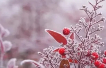 寒潮对健康有哪些影响？如何防护？中疾控提示