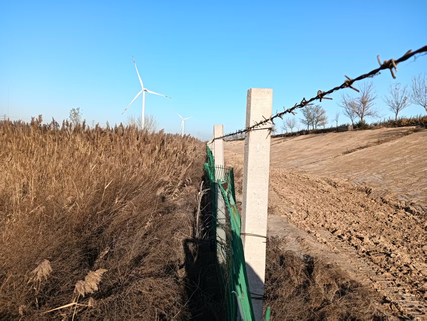 山东水务恒业供水：环库防护网守护一库清水 筑牢水库生态屏障 