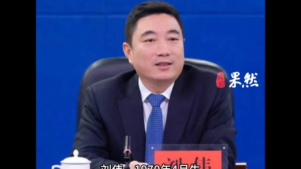 观政视频|刘伟任吉林省副省长