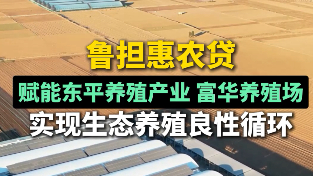 果然视频丨鲁担惠农贷赋能东平养殖产业 富华养殖场实现生态养殖良性循环