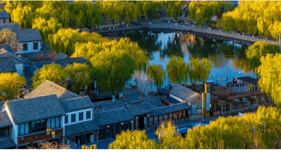 12月5日最佳情报|冬日百花洲清雅如画，海洋牧场牡蛎喜获丰收