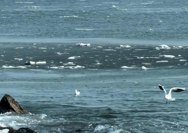 读城记|寂寥的沙滩