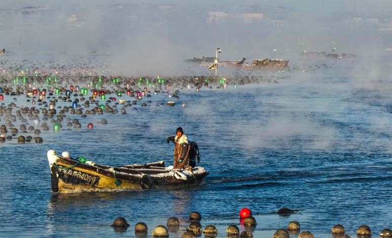 绝美！雪后荣成海湾上演“海浩”盛景