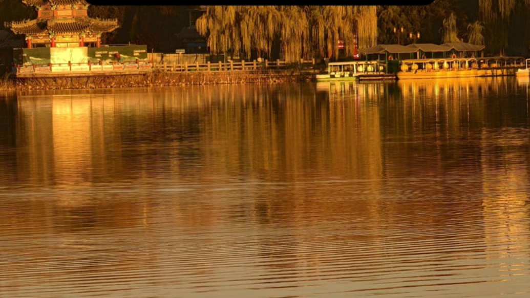 天气情报站|超惬意！济南大明湖晨光初绽，金纱漫舞如诗如画