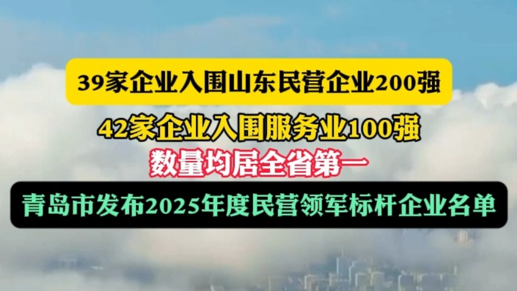 果然视频｜青岛市发布2025年度民营领军标杆企业名单