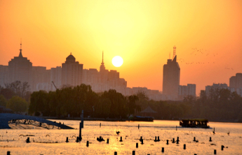 壹点日历12.7|今日大雪！愿你向阳而行，静待春暖花开