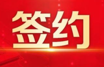  山东数文集团携手山东省健康管理协会 共建数字健康新生态