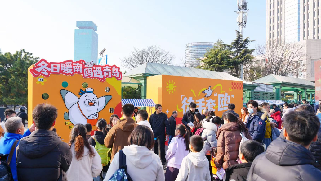 果然视频｜鸥鸣伴乐启暖冬，市南区“冬日暖南”活动正式启动