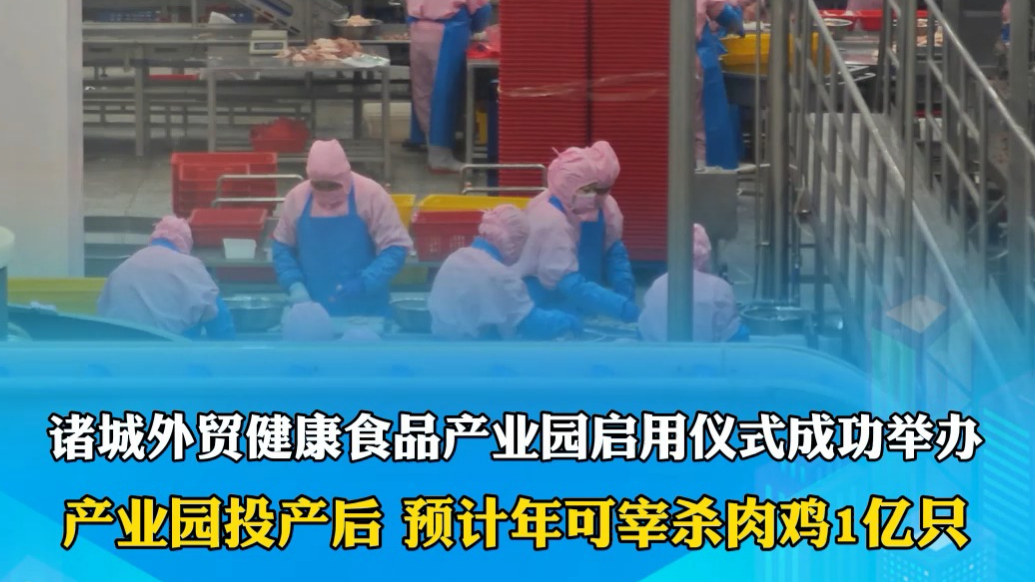果然视频｜年宰杀量可达一亿只鸡，诸城外贸健康食品产业园投产