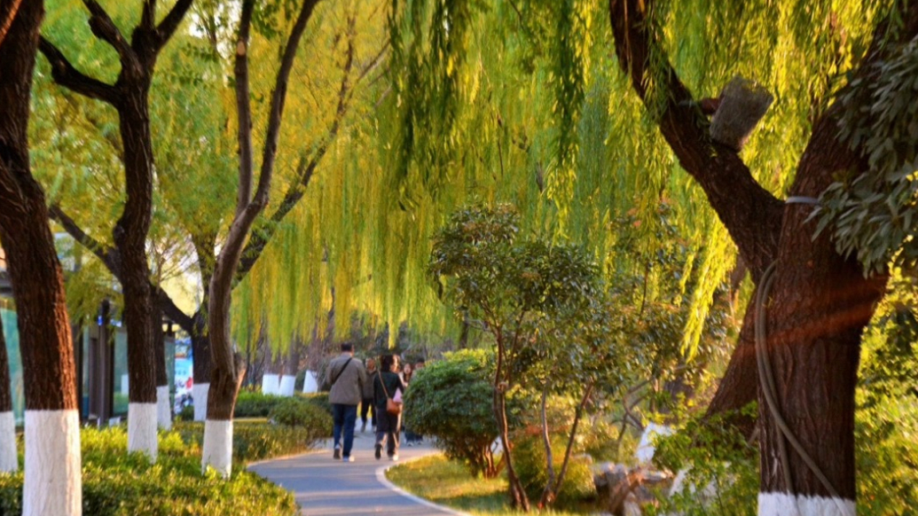 天气情报站|大雪时节济南环城公园别有一景，游客休闲打卡好惬意