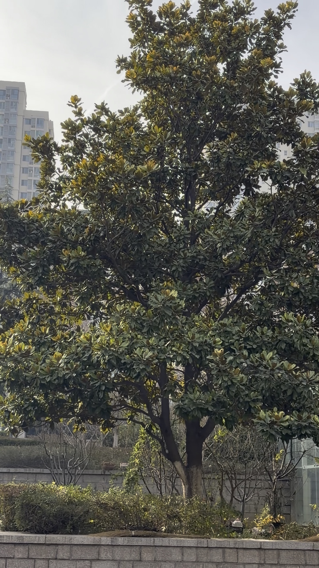 出生在南方的我在泉城扎根了