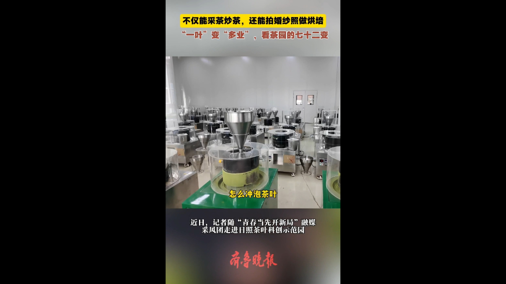 果然视频|不仅能采茶，还能拍婚纱照做烘焙，看茶园“七十二变”