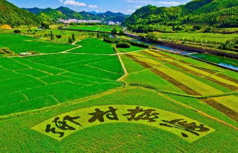 2025年山东省乡村振兴优秀案例征集评选正式启动