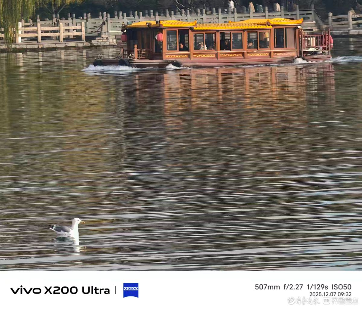 大明湖的精灵，我在记录