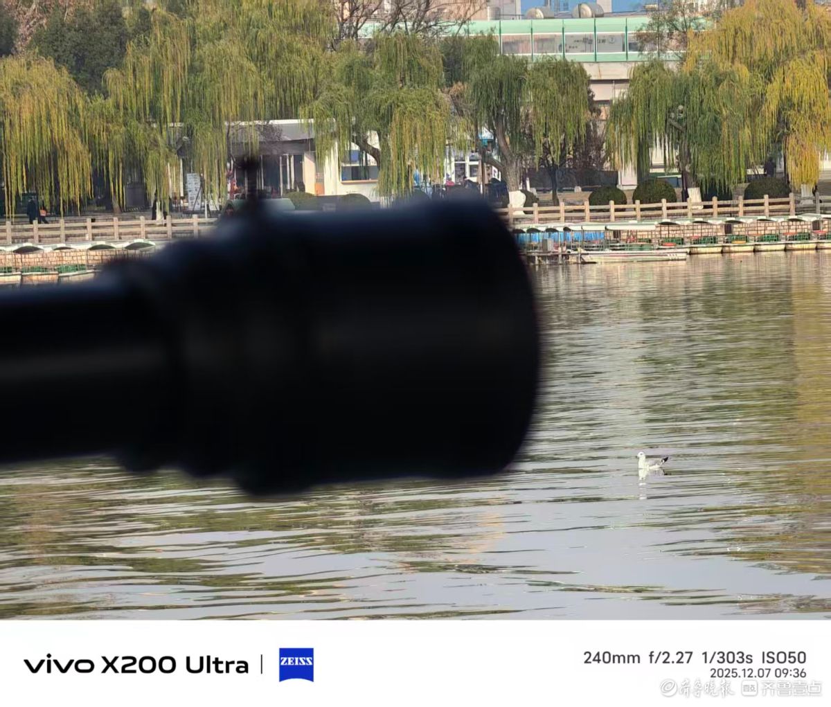 大明湖的精灵，我在记录