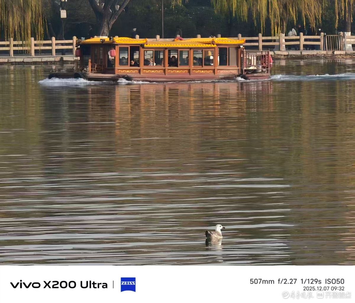 大明湖的精灵，我在记录