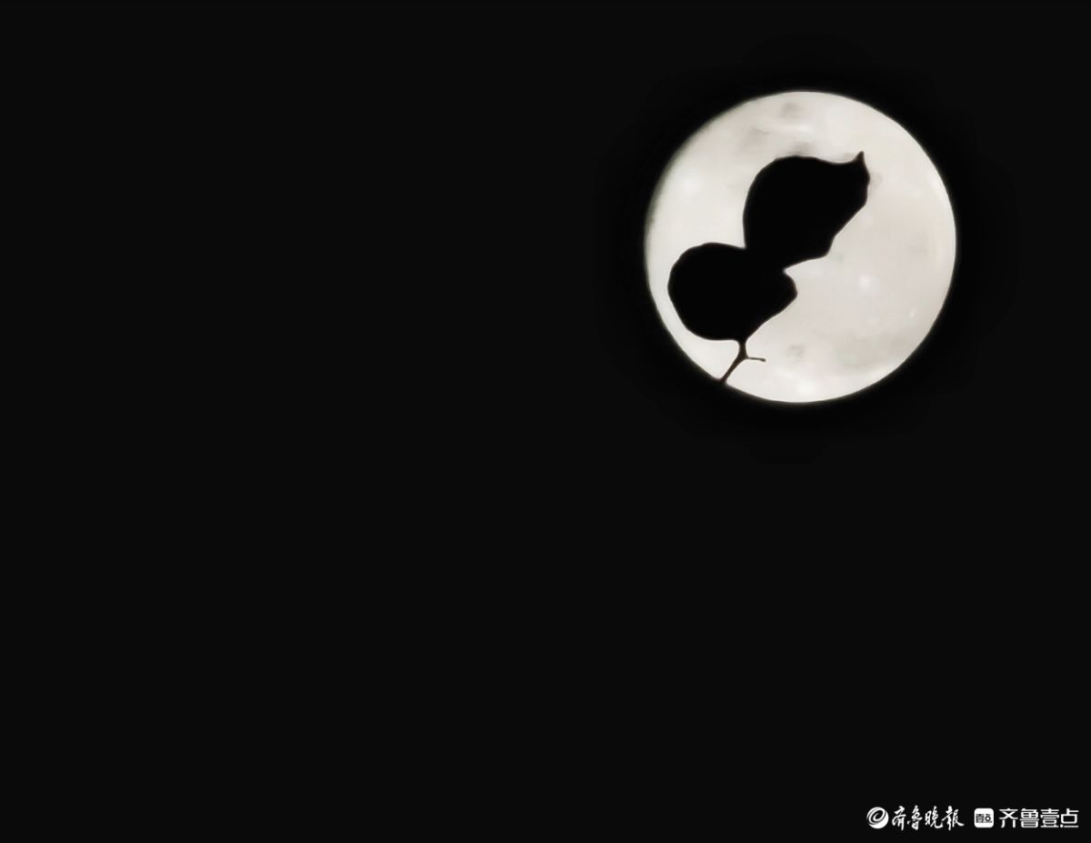 夜晚，又大又圆月亮添美景
