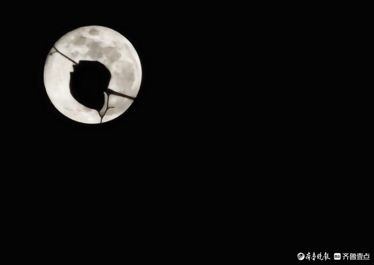 夜晚，又大又圆月亮添美景