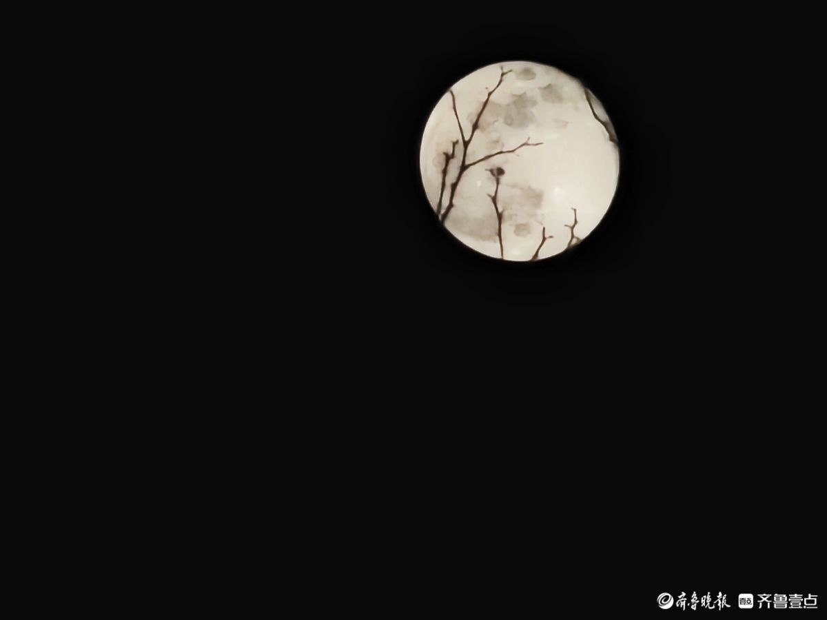 夜晚，又大又圆月亮添美景