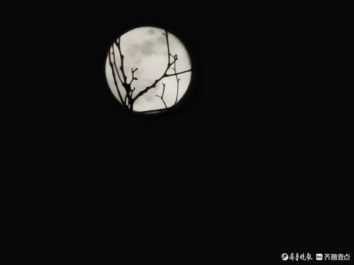 夜晚，又大又圆月亮添美景