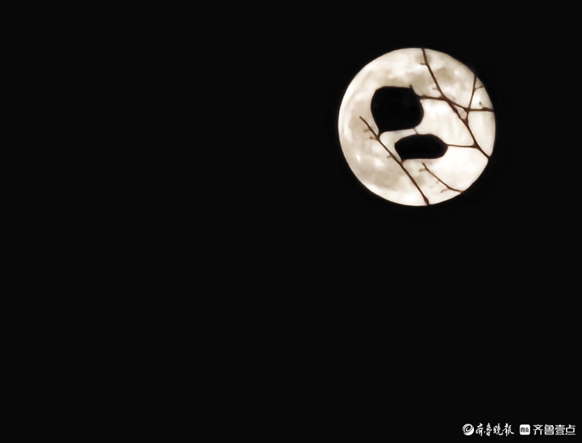 夜晚，又大又圆月亮添美景