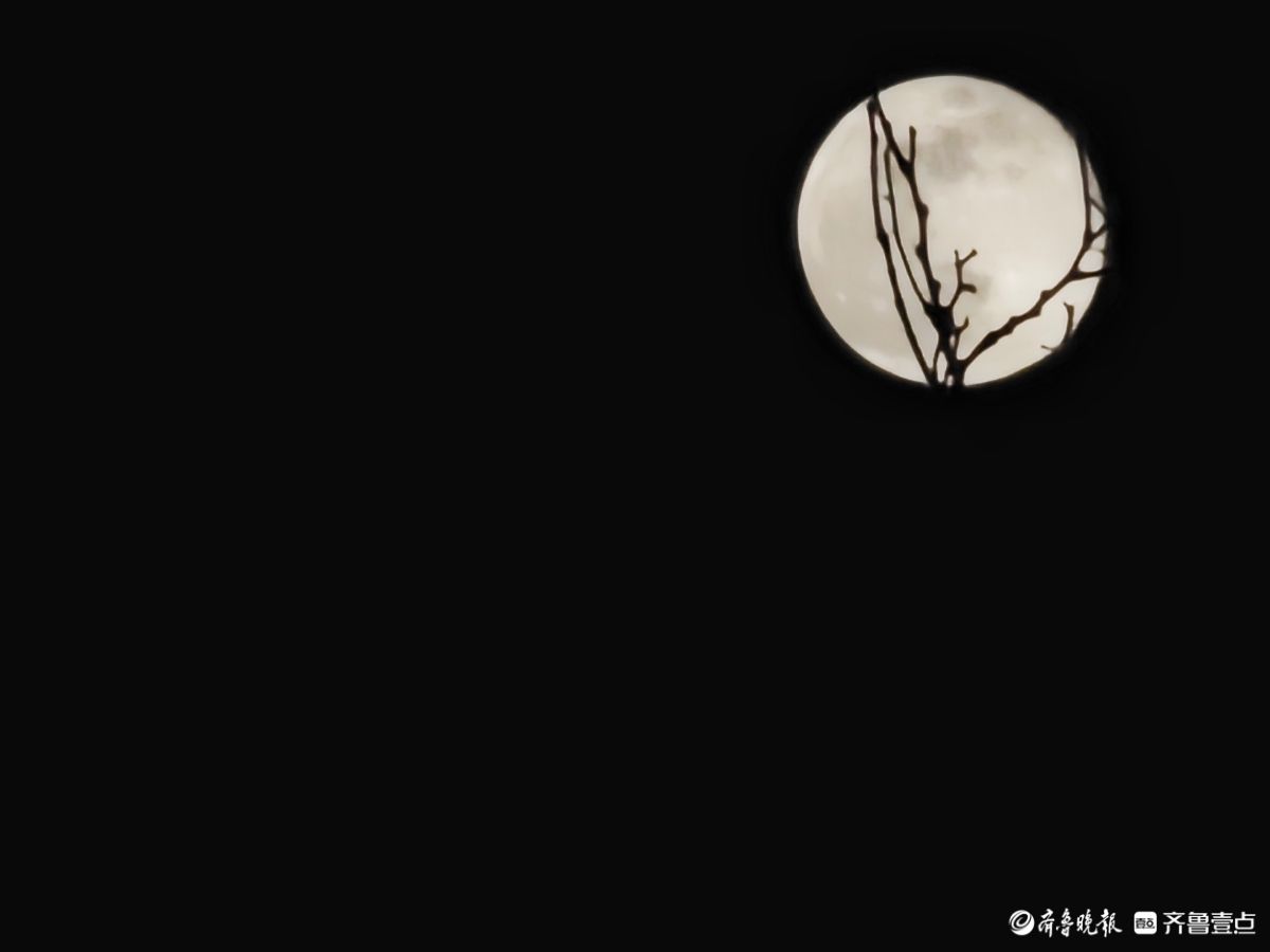 夜晚，又大又圆月亮添美景
