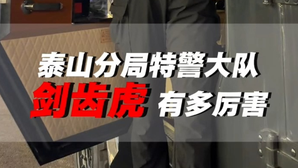 果然视频丨泰山分局特巡警大队：剑齿虎