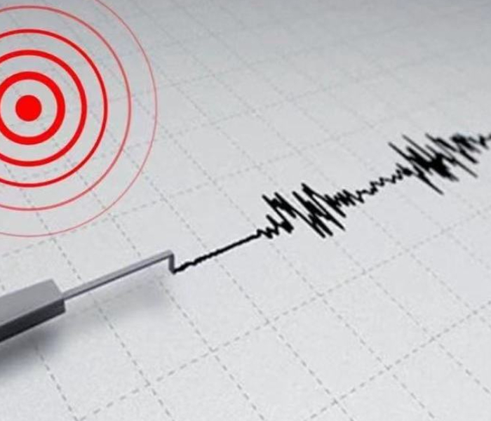 持续关注|日本突发强震