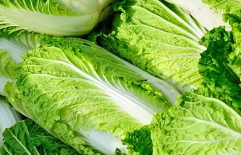 人间|相就煮晚菘