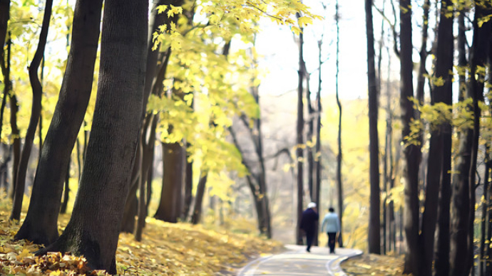 人间|没有失忆的爱