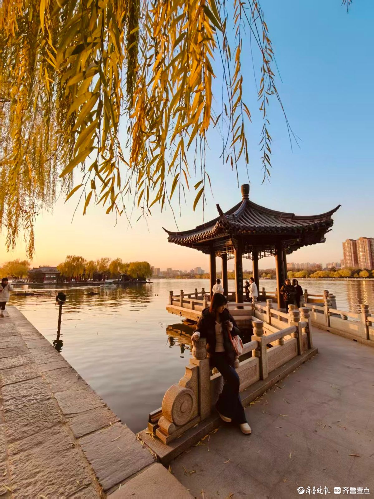 初冬明湖的垂柳