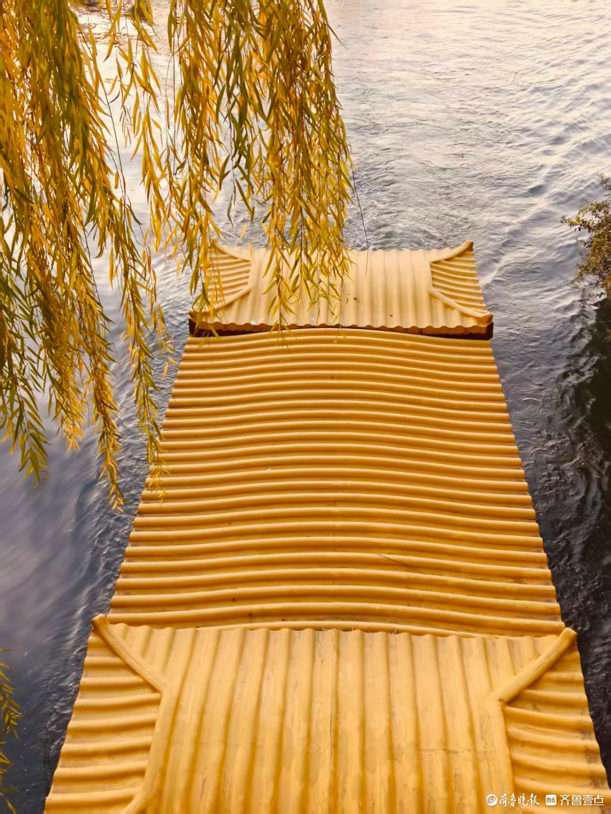 初冬明湖的垂柳