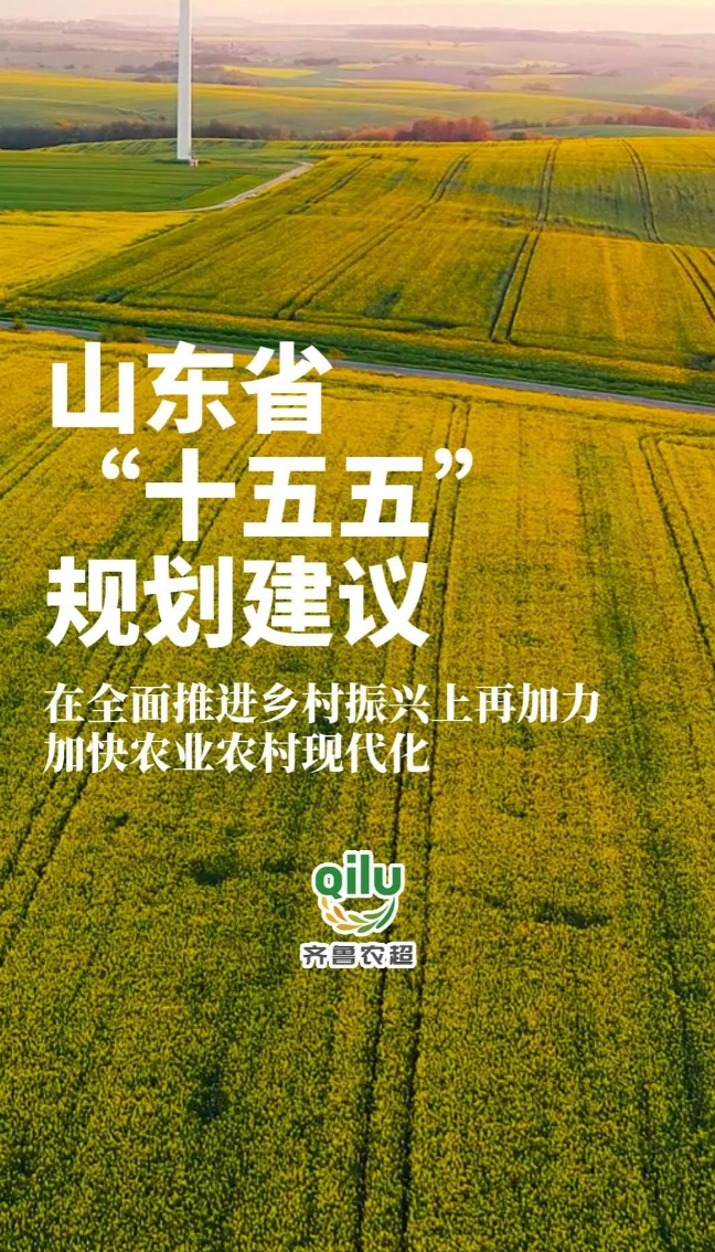山东省“十五五”规划建议：在全面推进乡村振兴上再加力，加快农业农村现代化