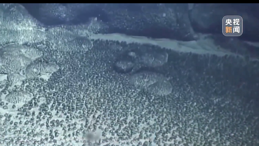 中国机器人6000米深海拍视频