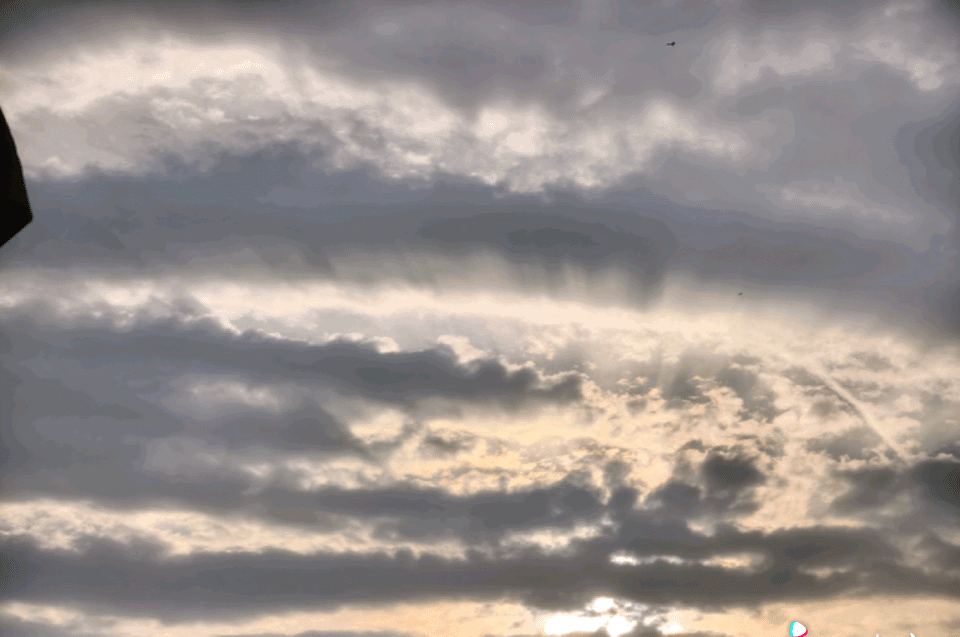 12月10日最佳情报|凤凰湖诗意如画，丁达尔效应壮观又梦幻！