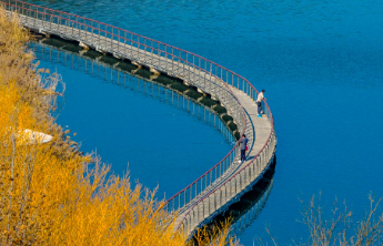 壹点日历12.11|愿你有破土而出的勇气，也有耐心扎根的智慧