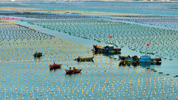 Shandong promotes sustainable transformation of ocean economy