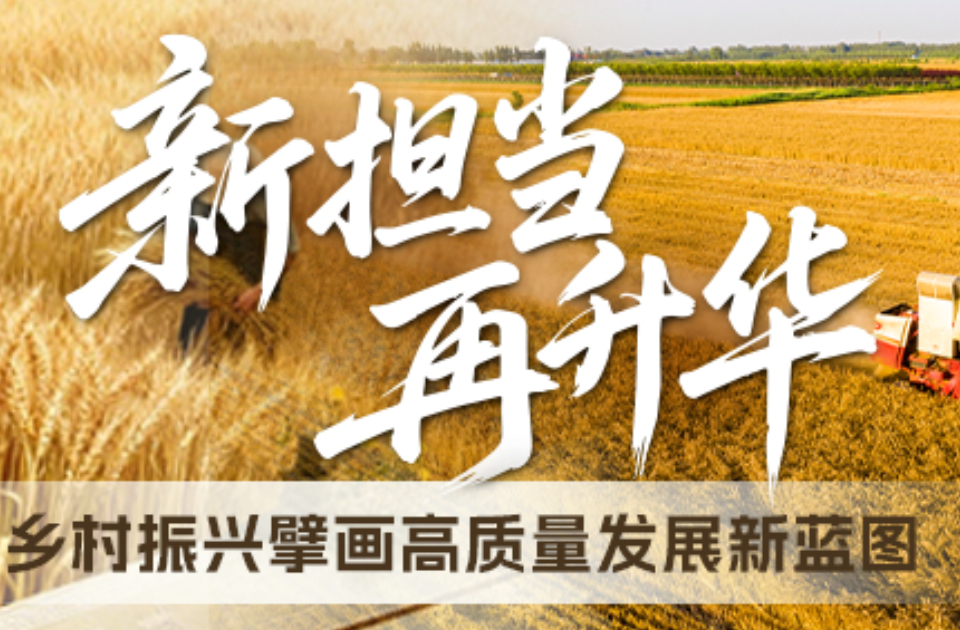 一图读懂｜从农业大省迈向农业强省：山东“十五五”乡村振兴战略全面升级