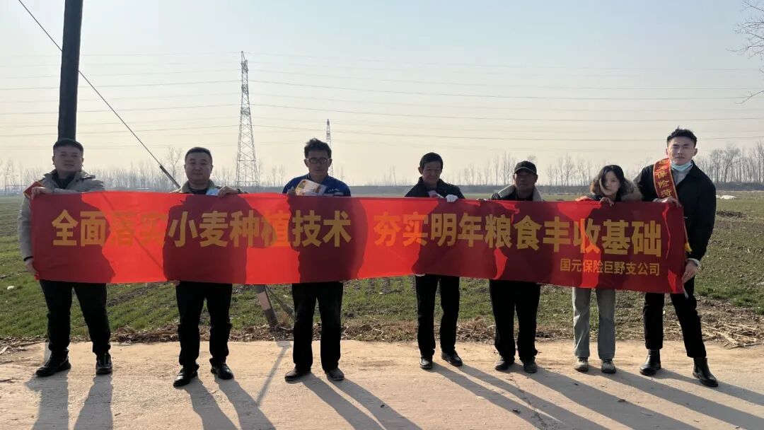 懂“种”又懂“保”，国元助耕小组让冬麦种植不心慌