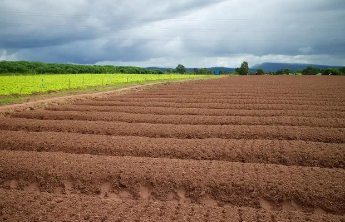 下降20.4%！山东“十四五”建设用地节约集约成效领跑