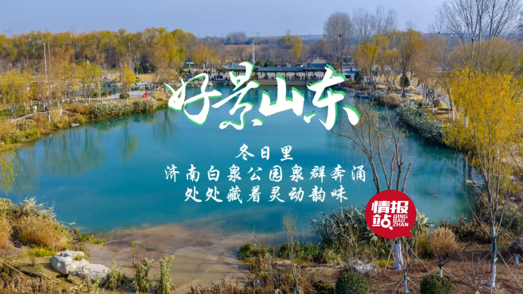 果然视频·好景山东|济南白泉公园泉群奔涌，处处藏着灵动韵味