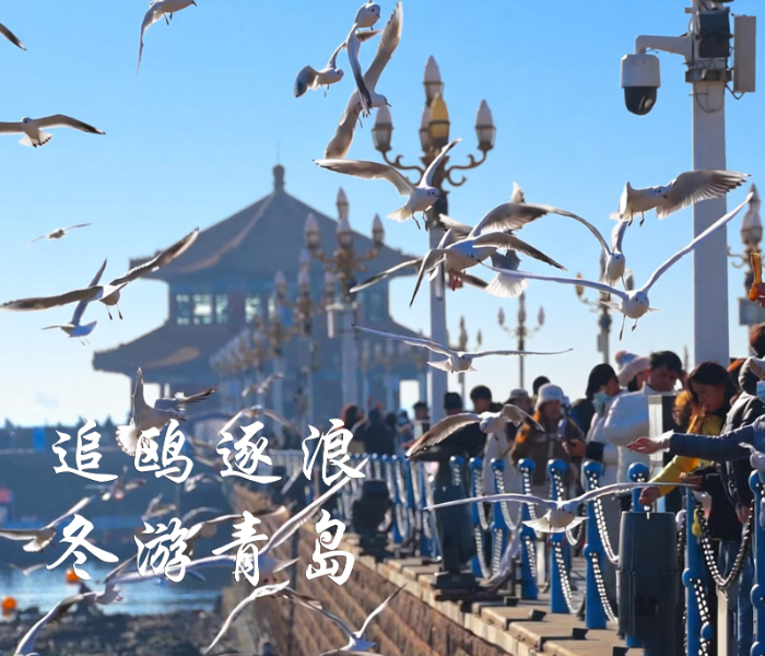 自2025年11月至2026年2月，青岛开展“山海冬韵·鸥遇青岛”冬季文旅系列活动，策划推出“十大精品线路、十大主题活动、十大消费新场景、十大网红打卡地”，梳理出160项任务清单，营造全域联动的冬游氛围，向海内外游客送上来自青岛冬日的“城市礼物”。