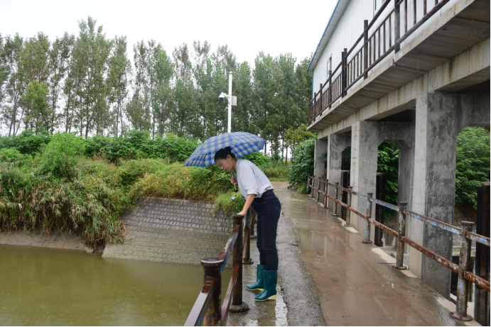 脚沾泥土，心系民生——起凤镇河长张丽敏的河湖答卷