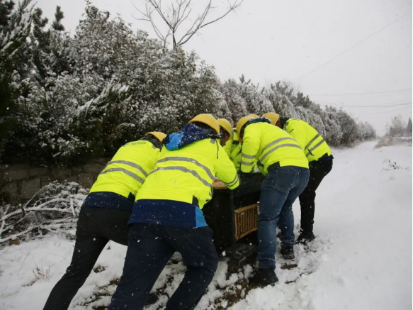 山东移动威海分公司：“浴”雪奋战 护航通信畅通