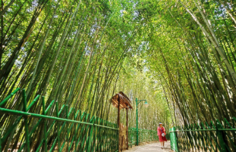 北纬三十六度线上的聊城奇迹