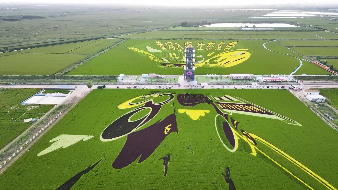 稻乡蟹缘“链”上开花 农文旅融合绘就乡村振兴新图景