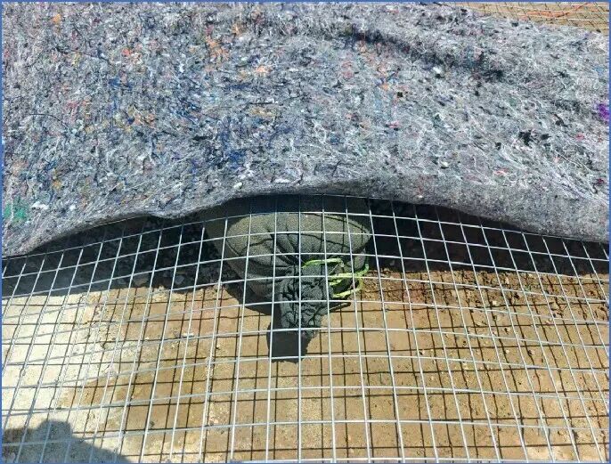 职工智慧结硕果！日照城投集团8条建议获市级认可