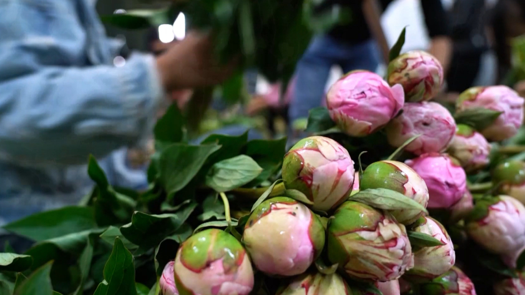 菏泽党政主要负责人述法丨市商务局：提升法治建设水平 服务保障商务高质量发展